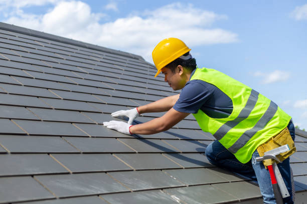 Best Roof Gutter Cleaning  in Newton, IL
