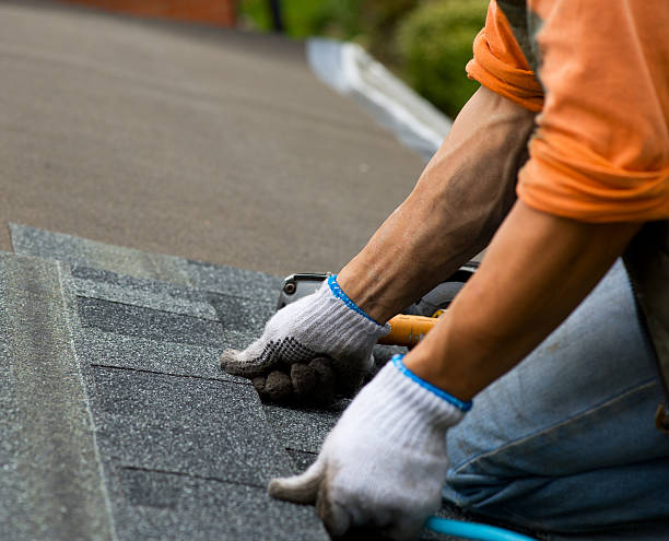 Best Metal Roofing Contractor  in Newton, IL