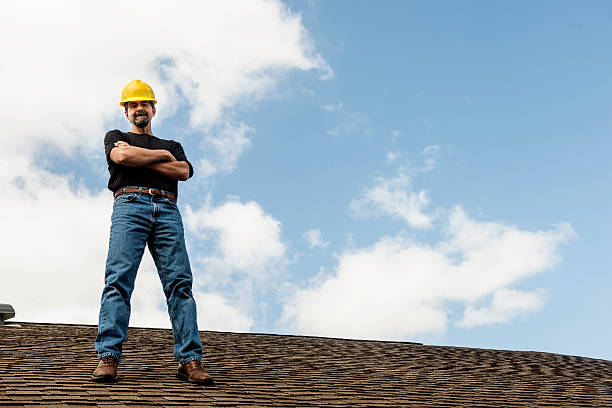 Best Roof Gutter Cleaning  in Newton, IL